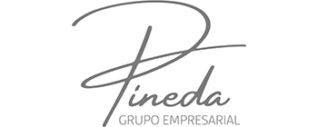 Pineda Grupo Empresarial